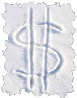 Снежный доллар